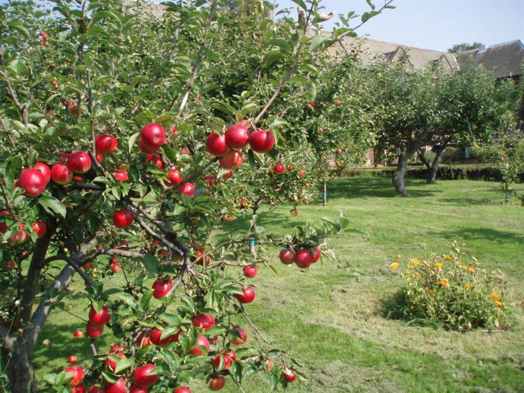 Mirfield Monastery B&B Екстериор снимка